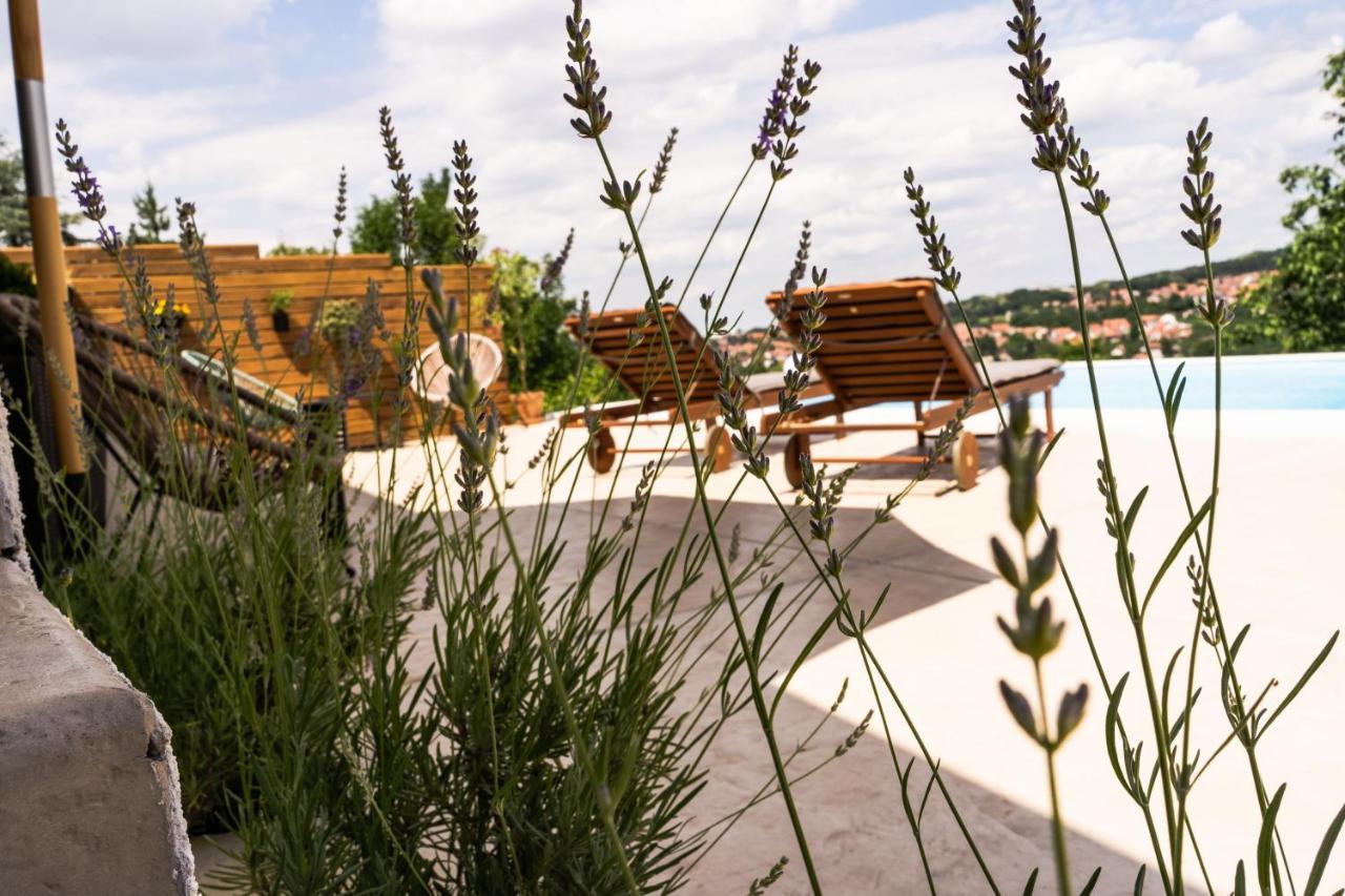 Todor Boutique House Villa Kamanc Kültér fotó